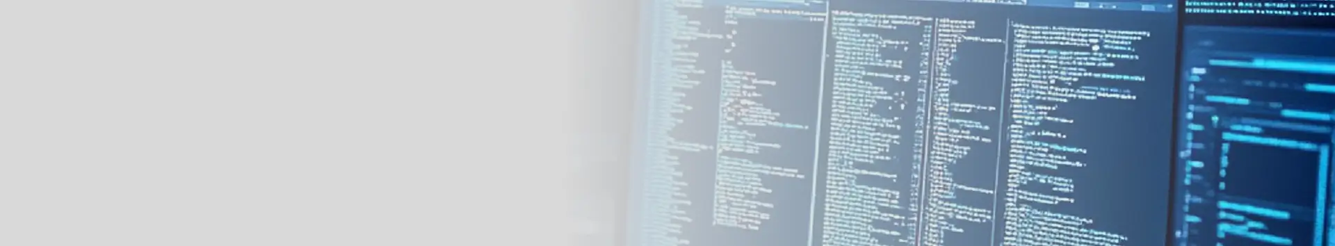 Web Development banner